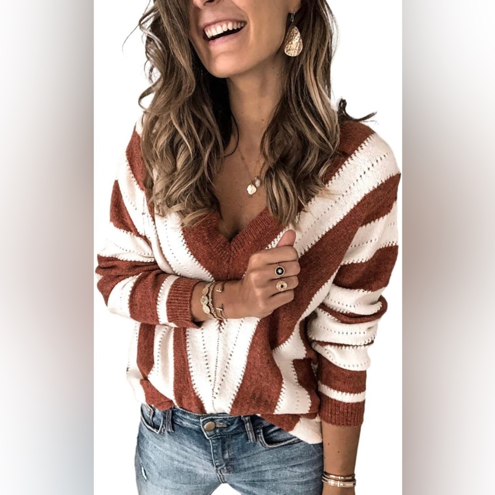 NWOT Asvivid Rusty Brown and White Striped Long Sleeve V-Neck Sweater size 2XL